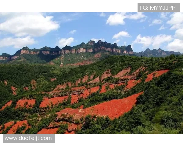 雄鹿的栖息地保护与生态平衡对森林生态系统的重要影响